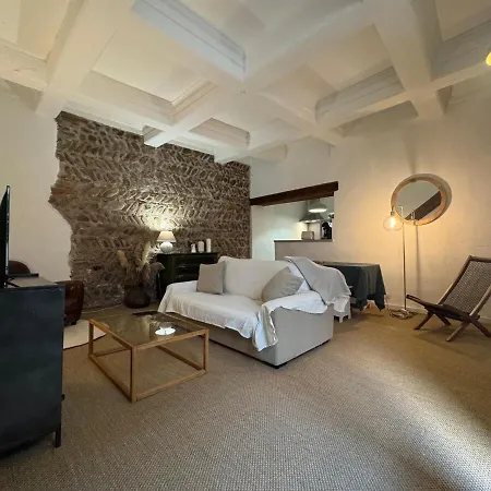 El Niu - Hyper Centre Apartament *