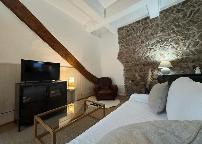 Apartment El Niu - Hyper Centre Perpignan